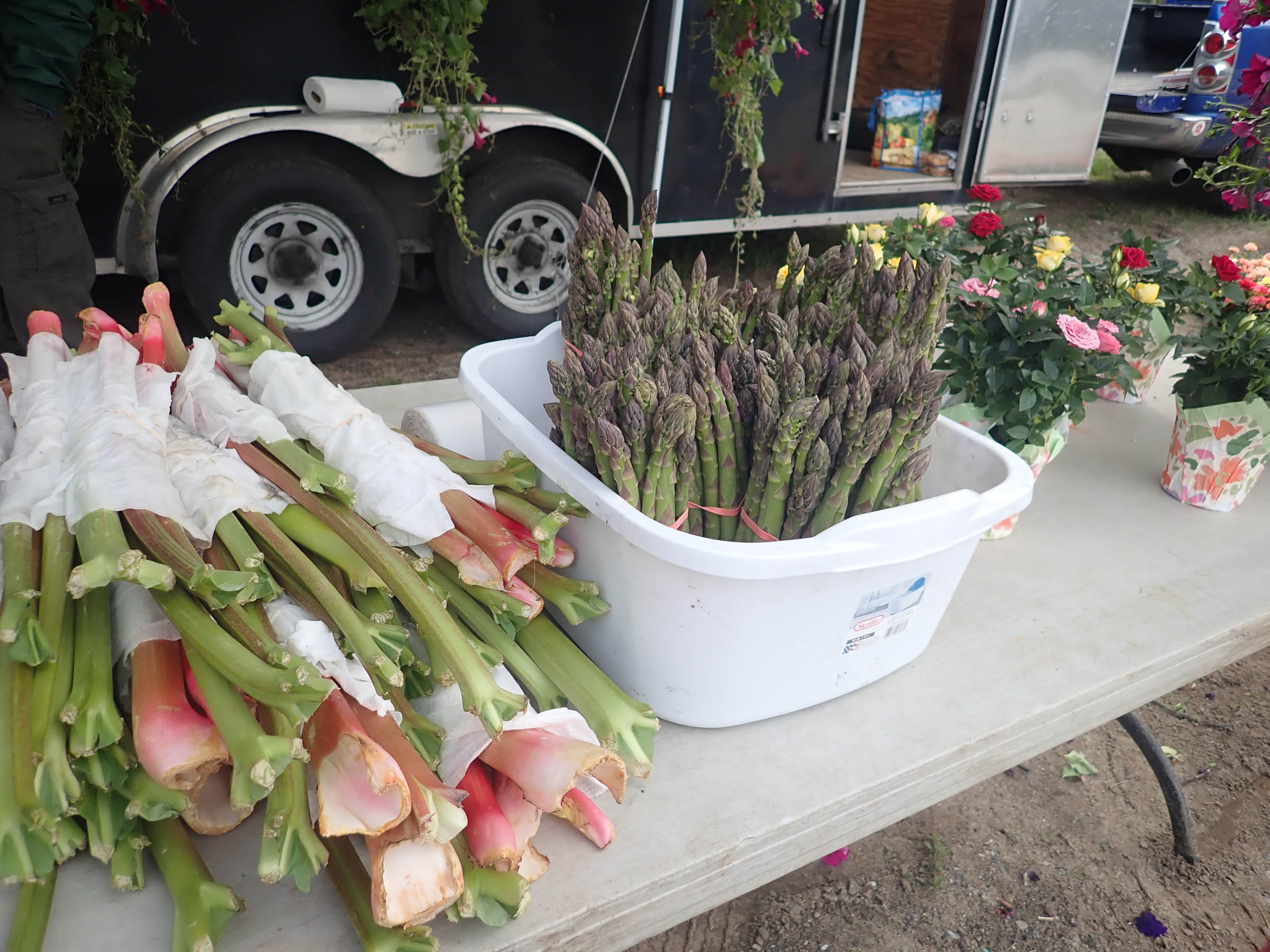 Spring is time to eat fresh | News, Sports, Jobs - Adirondack Daily Enterprise - Vimarsana News